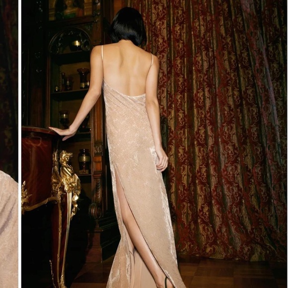 NWT Reformation Symphony Velvet Dress in Champagne Floral Velvet | Size XS - Picture 2 of 16